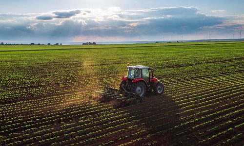 Agri-Food-Pilot